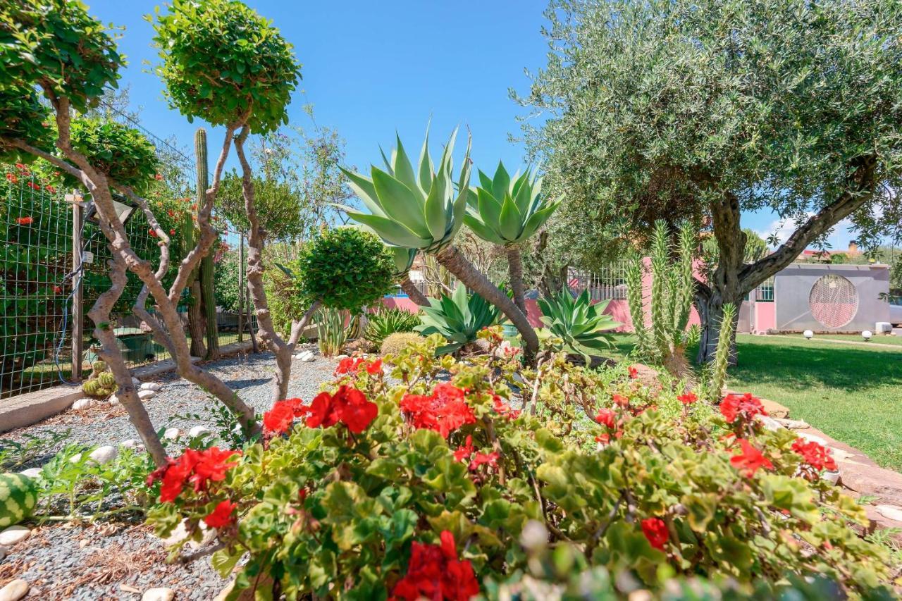 كابوتيرا Villa Rosanna المظهر الخارجي الصورة